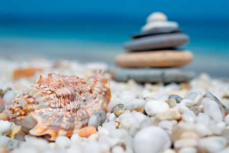 shell on white pebbles with stone pile on the backgroundの写真素材