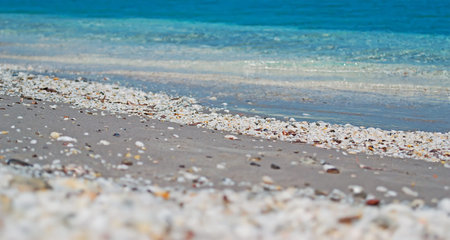 detail of white pebbles on a Sardinia beachの写真素材