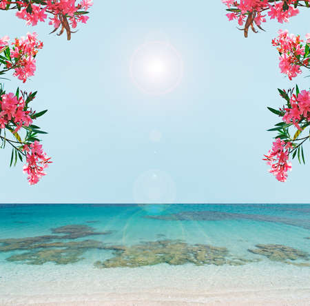 pink oleanders by the shoreの写真素材