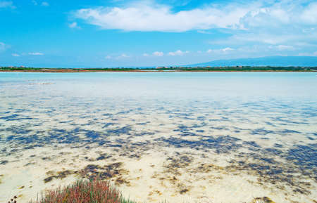 lake under a blue sky in Sardiniaの写真素材