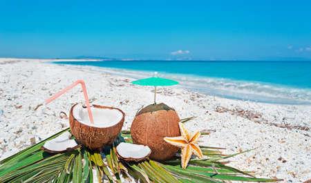 coconuts with straw and parasol on a clear summer dayの写真素材