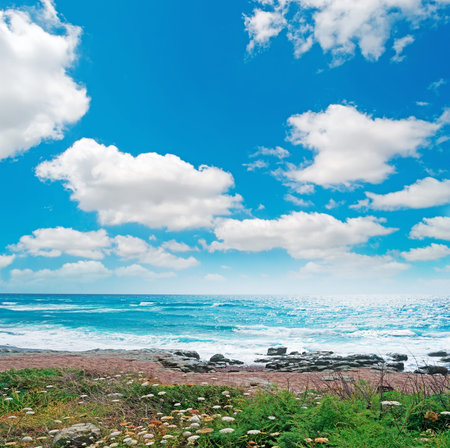 clouds over Bosa shore lineの写真素材