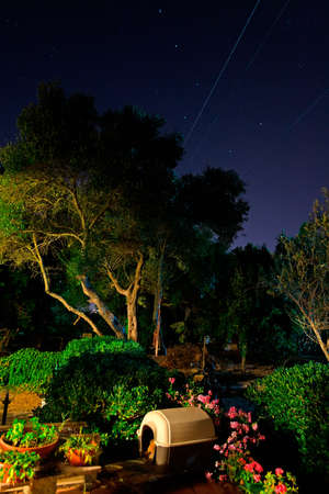 house garden on a clear starry nightの写真素材