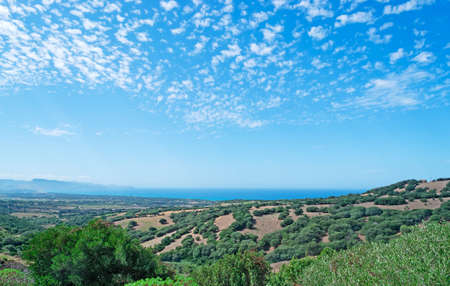 panoramic view of Asinara gulf on a cloudy dayの写真素材