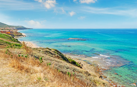 panoramic view of Lu Bagnu coastline on a sunny dayの写真素材