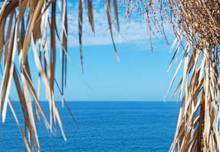 blue sea seen through palm branchesの写真素材