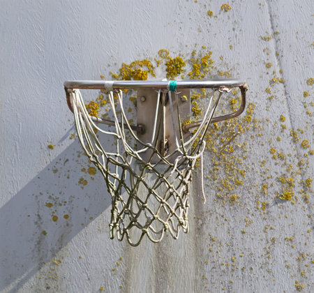 close up of an old hoop