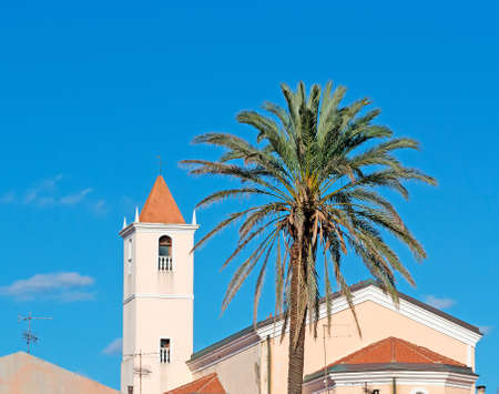 Stintino belltower with a tall palm tree in the foregroundの写真素材