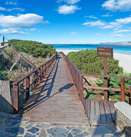 wooden walk path to La Pelosa beachの写真素材