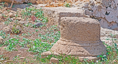 antique column base in Tharros, Italy