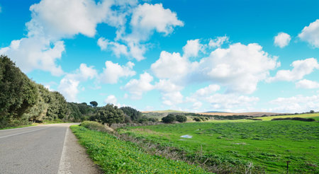 country road seen from the right edgeの写真素材
