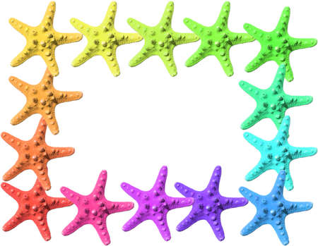 frame made with colorful starfishの写真素材