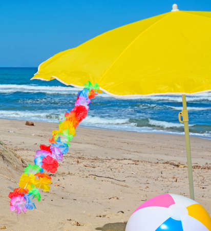 hawaiian necklace fluttering over a beach ballの写真素材