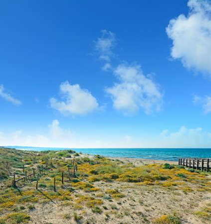 green shore under clouds in Platamona beach, Sardiniaの写真素材