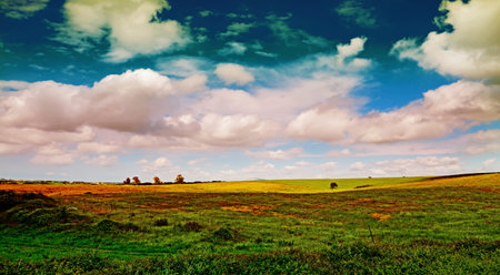 green and yellow field under a cloudy sky at dusk