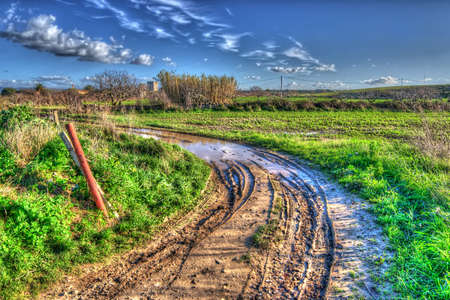 muddy road on a cloudy dayの写真素材