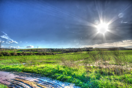 lens flare on a country road