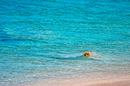 yellow rock in Cala Luna turquoise sea
