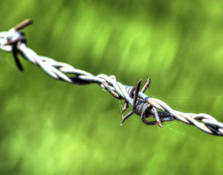 barbed wire in hdr toneの写真素材