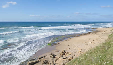 windy shore in castelsardo, Italy
