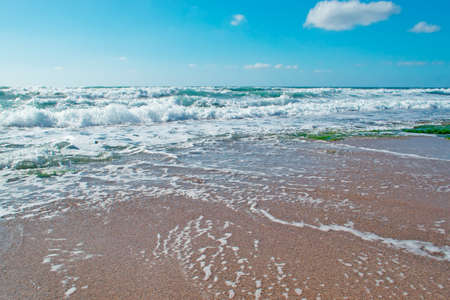 waves in Castelsardo shoreline, Sardiniaの写真素材