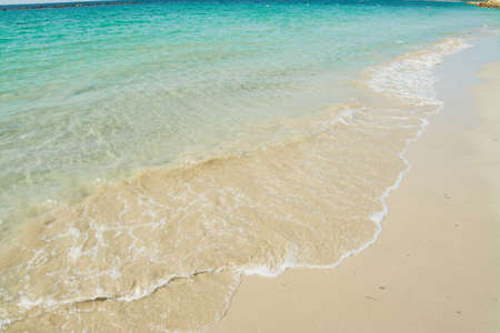 turquoise foreshore in Alghero Lido, Sardiniaの写真素材