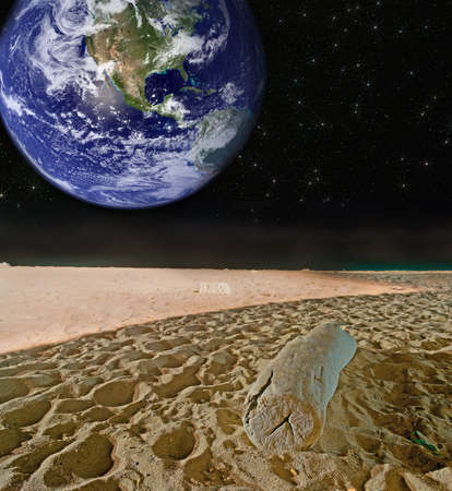 trunk on a planet. の写真素材