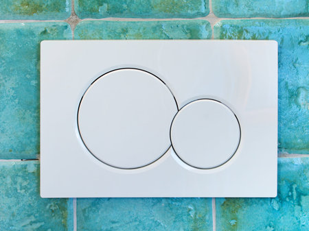 modern wc flush in a turquoise wall