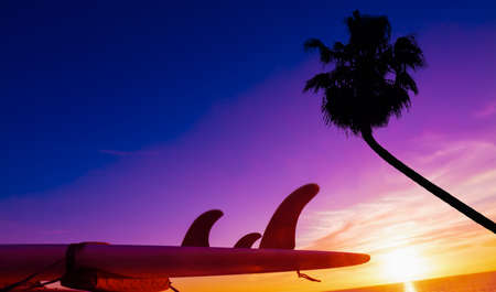surfboard and palm silhouette by the sea at sunset.の写真素材