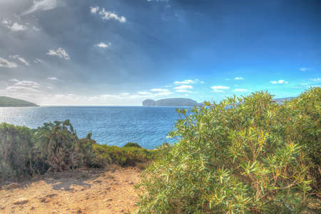 Porto Conte shore on a clear day. Heavy processed for hdr tone mapping effect.の写真素材