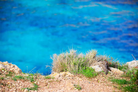 rocky shore by turquoise water. の写真素材