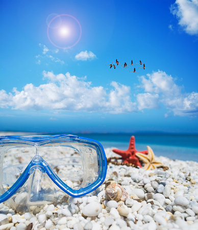 diving mask and starfish under a flock of flamingos flying in the blue sky