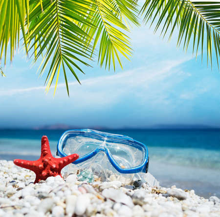 diving mask under the palm by the seaの写真素材
