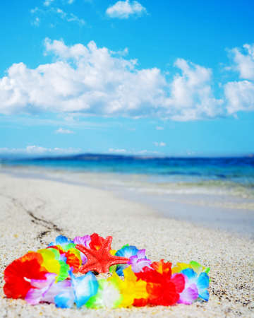 starfish and necklace by the shore. Shot in Sardinia, Italyの写真素材