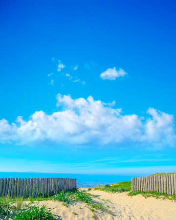 wooden palisades in Platamona beach, Sardiniaの写真素材