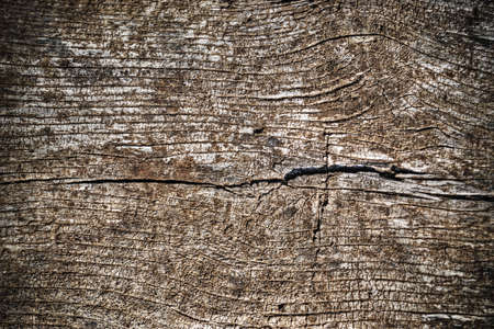 close up of a wooden background in vintage toneの写真素材