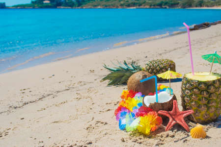 coconuts and pineapples on the sand by the seaの写真素材