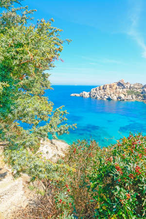Capo Testa shoreline on a clear day. Shot in Sardinia, Italyの写真素材
