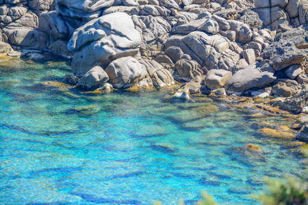 grey rocks and green plants by Capo Testa clear water, Sardiniaの写真素材