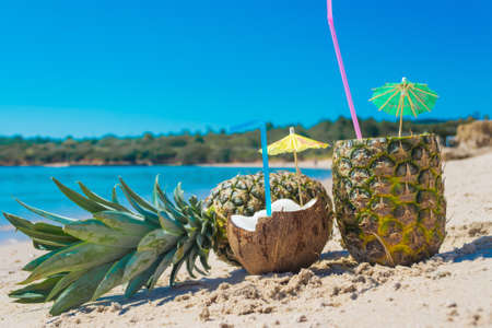 coconuts and pineapples on the sand by the seaの写真素材