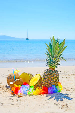 pineapples and coconuts by the shore in a tropical beachの写真素材