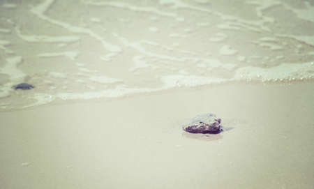 gray stone alone on the sand by the sea  in vintage tone effectの写真素材
