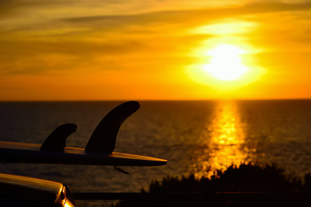 close up of a surfboard on a car roof at sunset