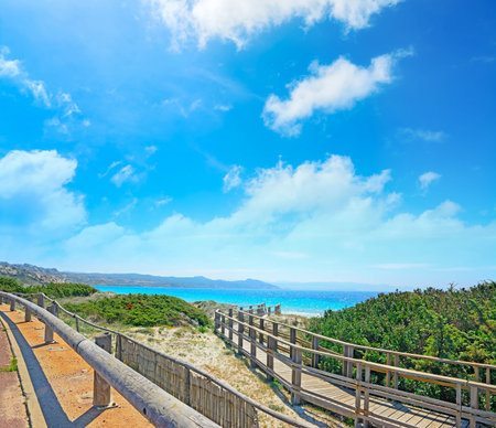 wooden boardwalk under a cloudy sky in Capo Testa, Sardiniaの写真素材