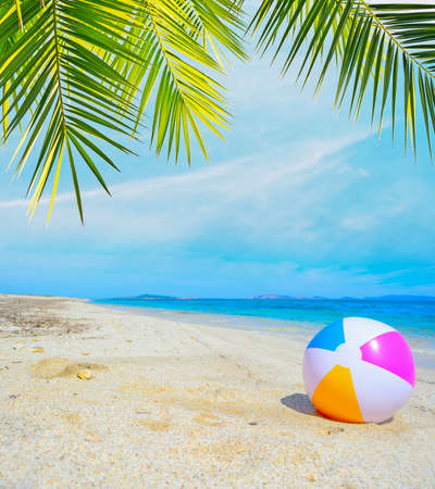 colorful ball under a palm tree by the shoreの写真素材