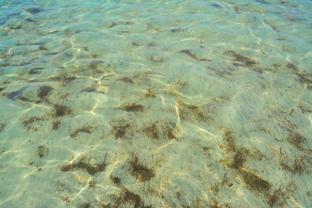 clear water in Alghero shore, Italy