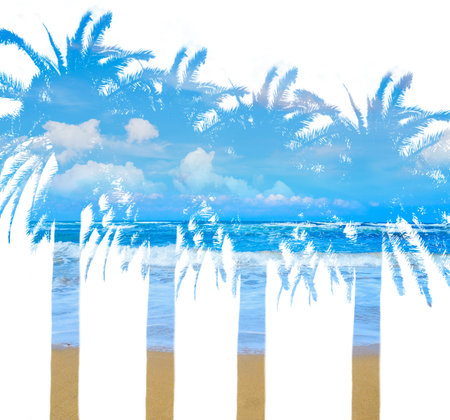 palm trees and golden shore in double exposureの写真素材