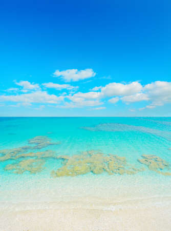 turquoise water in Stintino coastline, Sardiniaの写真素材