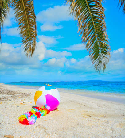 beach ball under a palm branch by the seaの写真素材