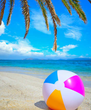 beach ball under a palm branch by the seaの写真素材